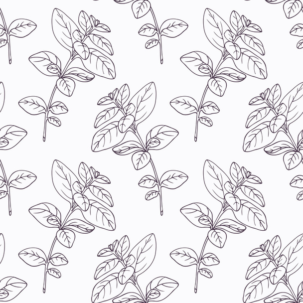 Hand drawn oregano branch outline seamless pattern - Vector, Image