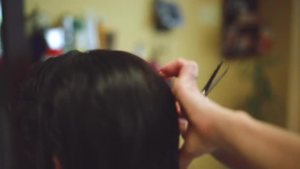 Крупный план женских рук стилиста, стригущих волосы
 - Кадры, видео