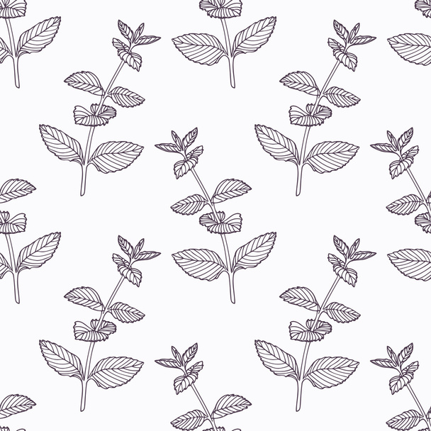 Hand drawn mint branch outline seamless pattern - Vektor, obrázek