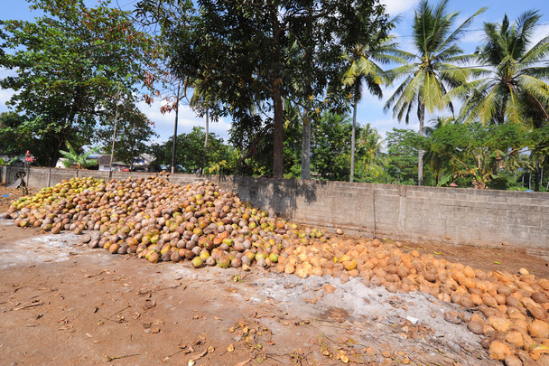 Купка кокосового горіха перетворюється на кокосову олію. Кокосова олія це
 - Фото, зображення