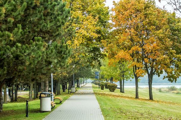 Parque en otoño
 - Foto, Imagen