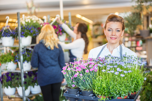 Florist Carrying Flower Plants With Colleague Assisting Customer - Φωτογραφία, εικόνα