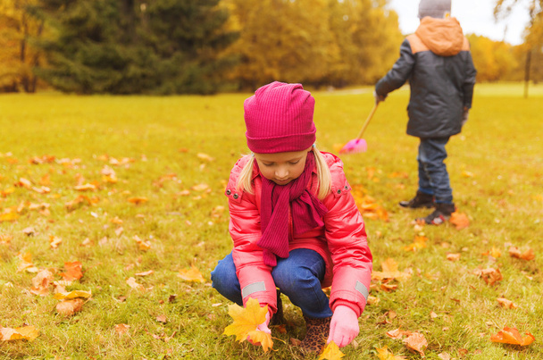 children collecting leaves in autumn park - Foto, imagen