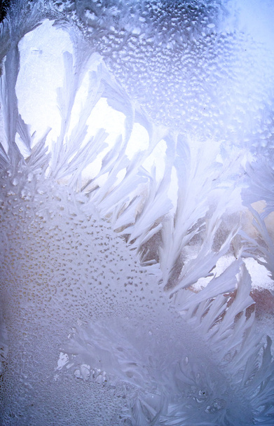 Frost minta - Fotó, kép