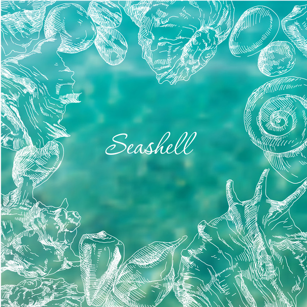 Seashells frame background - Vettoriali, immagini