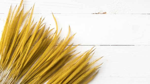 yellow color of wheat - Φωτογραφία, εικόνα