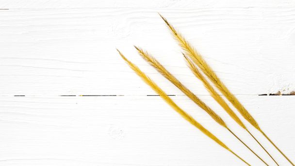 yellow color of wheat - Фото, изображение