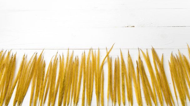 yellow color of wheat - Fotografie, Obrázek