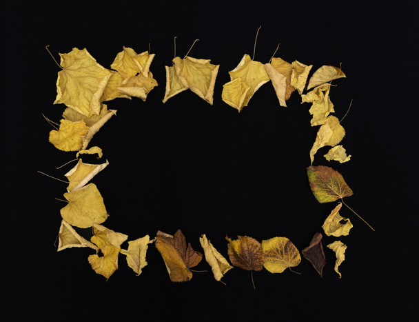 quadro de folhas de outono coloridas no fundo preto
 - Foto, Imagem