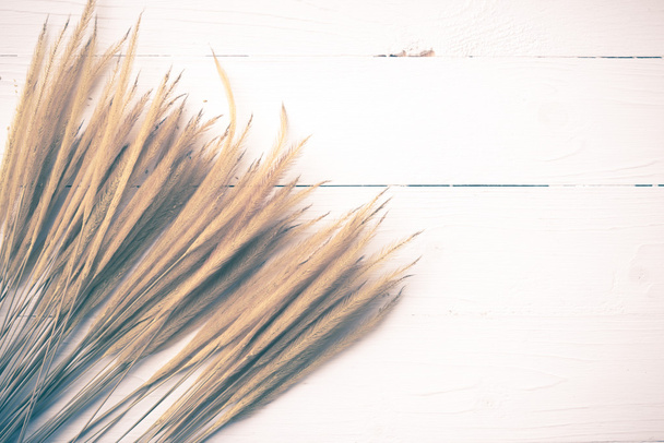 wheat vintage style - Zdjęcie, obraz