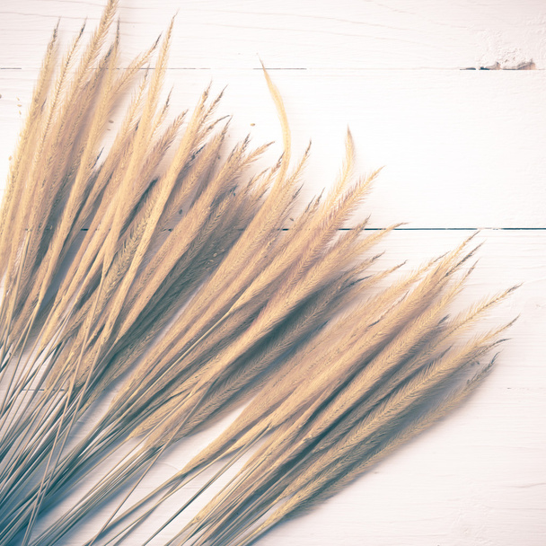wheat vintage style - Foto, Imagen