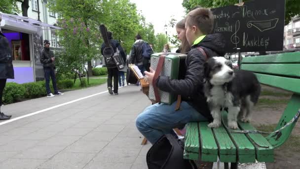jongen kind spelen met accordeon. Kleine hond. 4k - Video
