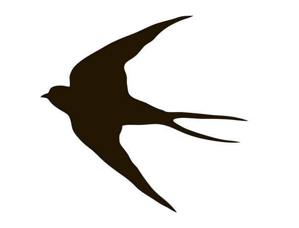 drawing silhouette flying swallows - Vector, Image
