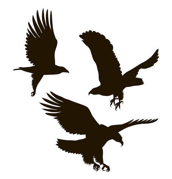 drawing silhouettes of three eagles - Vector, Image