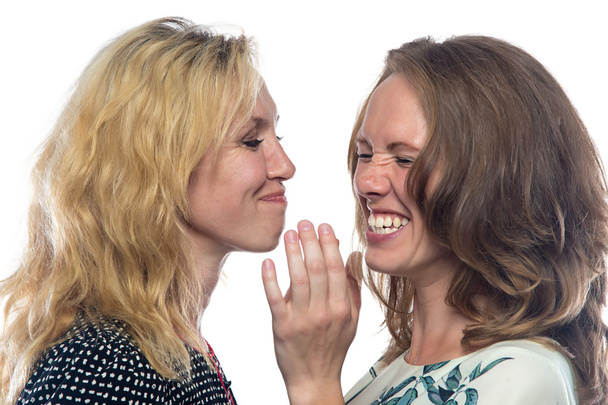 Fun laughing sisters - Photo, Image