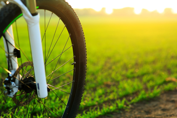 Beautiful close up scene of bicycle at sunset, - Foto, Imagen