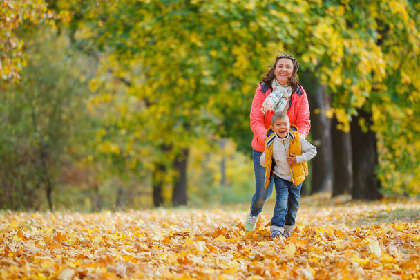Adorable boy with his mother in autumn park - Fotoğraf, Görsel