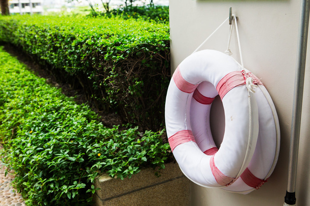 Life buoy attached to the concrete waterfront. - Photo, Image