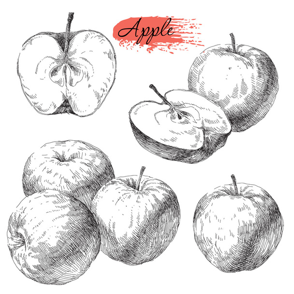 Vector set of hand drawn apples - Vetor, Imagem