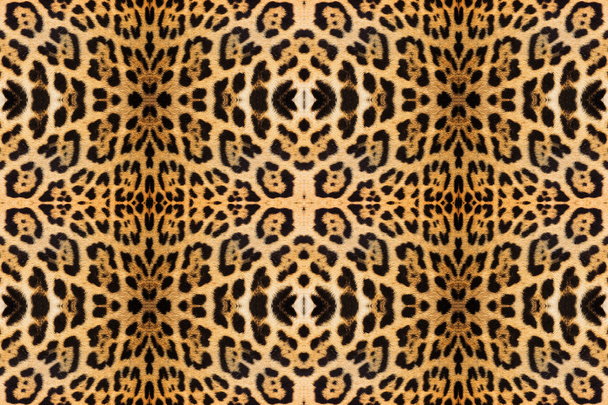 Leopard skin texture for background - Photo, Image