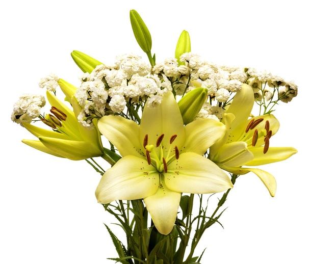 Bouquet of daisies and lilies - Photo, Image
