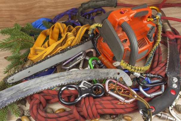 Tools for trimming trees, utility arborists. Chainsaw, rope and carabiners to work lumberjack. Arborist - doctors trees - Foto, Imagem