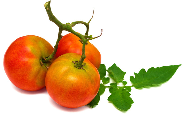 čerstvá rajčata s listy - Fotografie, Obrázek