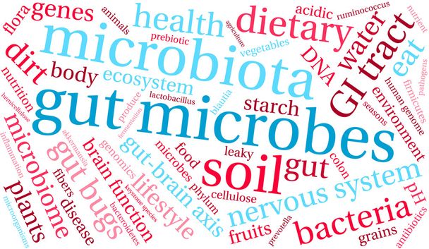 Gut mikrobák szó felhő - Vektor, kép