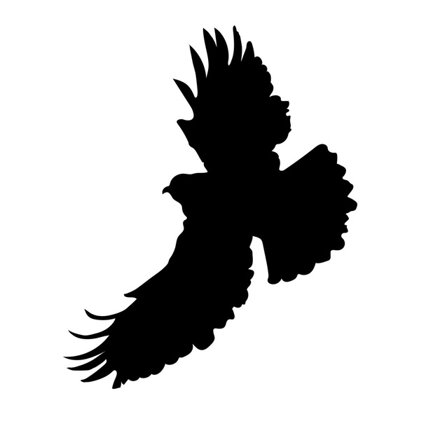 Черный силуэт орла
 - Вектор,изображение