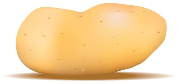πατάτας στο άνυσμα - Διάνυσμα, εικόνα