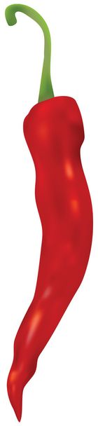 κόκκινο καυτό πιπέρι τσίλι στο άνυσμα - Διάνυσμα, εικόνα