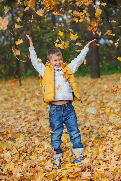 Adorable boy in autumn park - Foto, Imagem