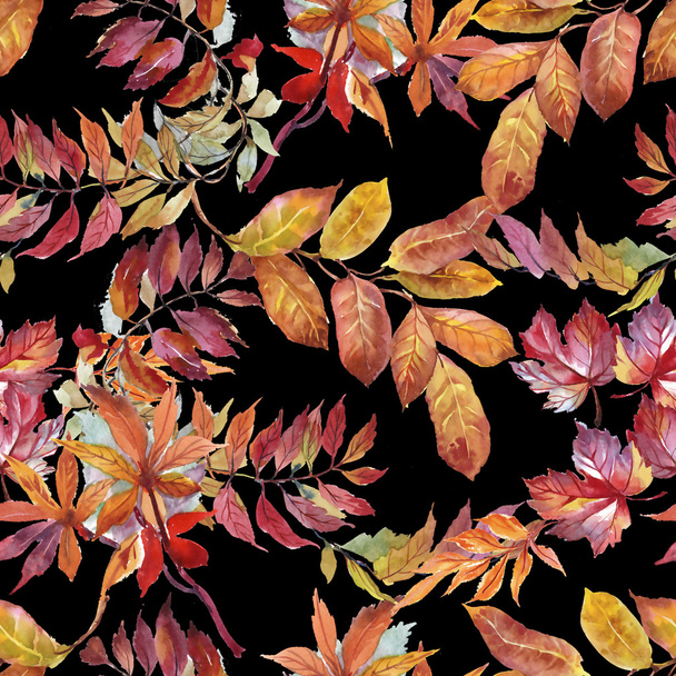 background with autumn leaves - Valokuva, kuva