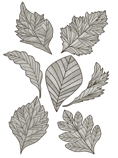 foglie astratte nero
 - Vettoriali, immagini