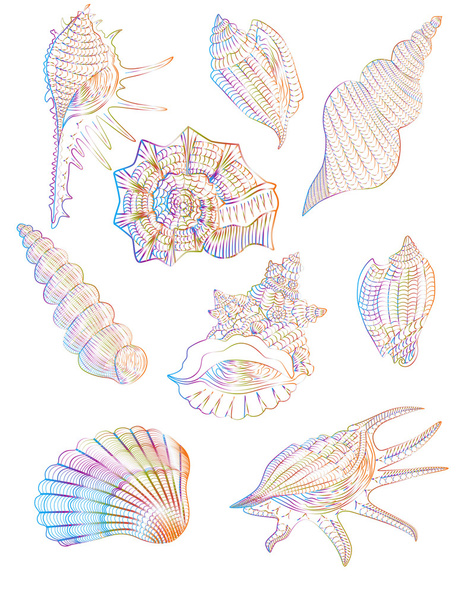 Conjunto de conchas marinhas abstratas
. - Vetor, Imagem