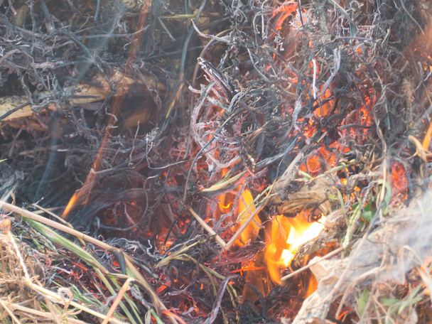 Feuer, Feuer, Rauch im Herbstwald - Foto, Bild