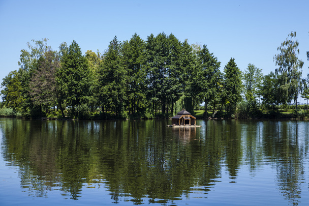 Floresta lago sob céu azul
 - Foto, Imagem