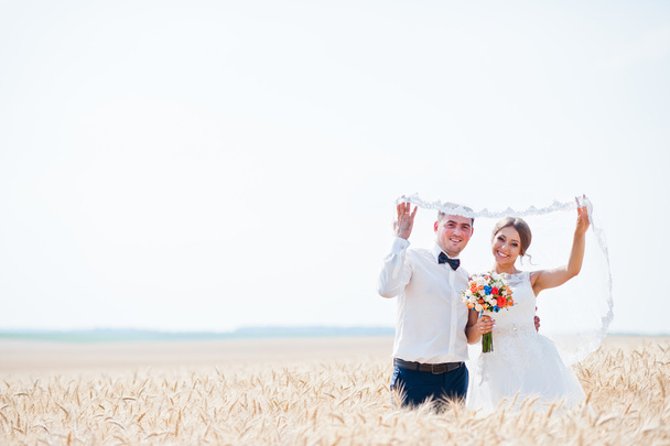 fashionable and happy wedding couple  at wheat field at sunny da - Фото, зображення