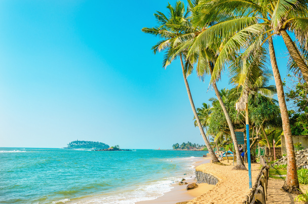 Belle plage paradisiaque avec de grands palmiers
 - Photo, image