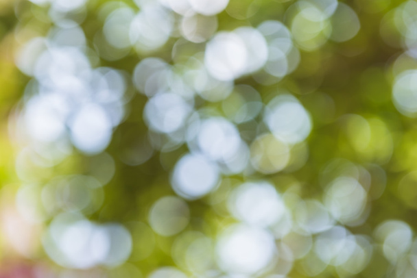 flou abstrait de la nature avec bokhe de lumière à travers les arbres
 - Photo, image