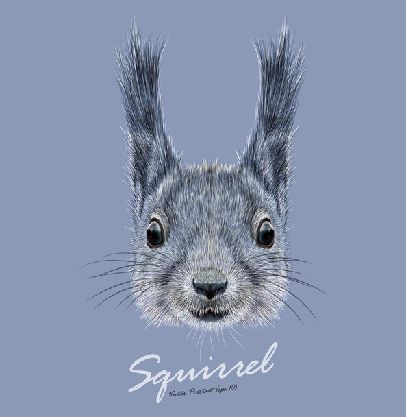 Oravan villieläimen kasvot. Vektori Britannian söpö harmaa orava pään muotokuva. Realistinen turkis muotokuva hauska orava eristetty sinisellä pohjalla
. - Vektori, kuva