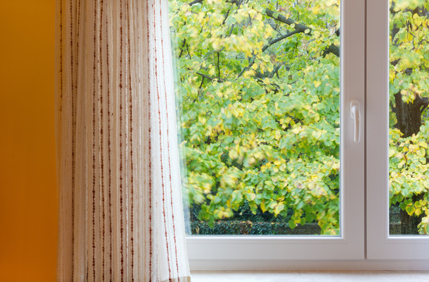 Vue à travers une fenêtre sur un après-midi d'automne venteux
 - Photo, image