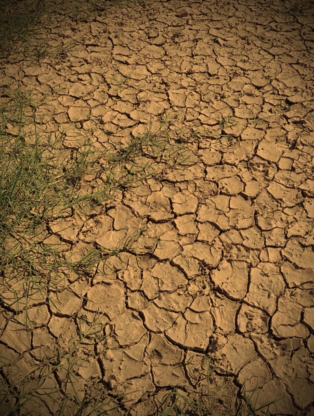 drought land and environment - Photo, Image