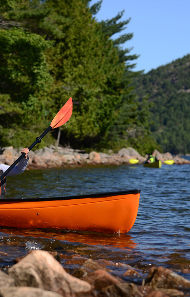 Due kayaker nel lago o nel fiume
 - Foto, immagini