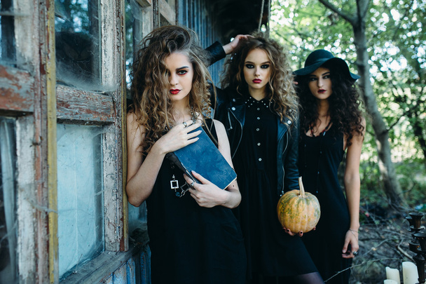 Drei Jahrgangsfrauen als Hexen - Foto, Bild