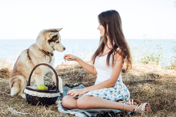 young caucasian female and red siberian husky dog on seaside with basket with fruits. eating fruits, healthy eating and healthy living concept - Valokuva, kuva