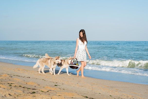 young caucasian female playing and having fun with siberian husky dog on beach - Foto, imagen