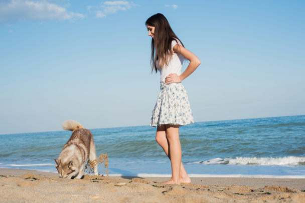 young caucasian female playing and having fun with siberian husky dog on beach - Foto, immagini