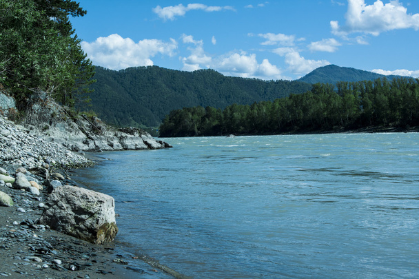 mountain river in the Altai - Φωτογραφία, εικόνα
