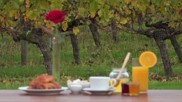 Frans ontbijt op wijngaarden achtergrond, - Video